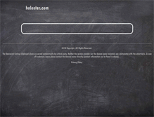 Tablet Screenshot of holoster.com